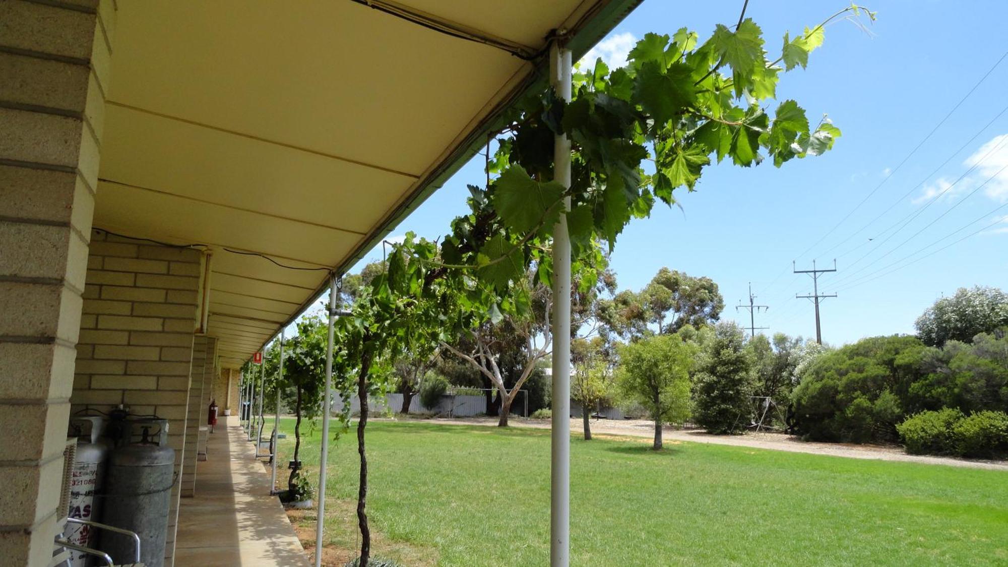 Murray Bridge Motor Inn Екстериор снимка